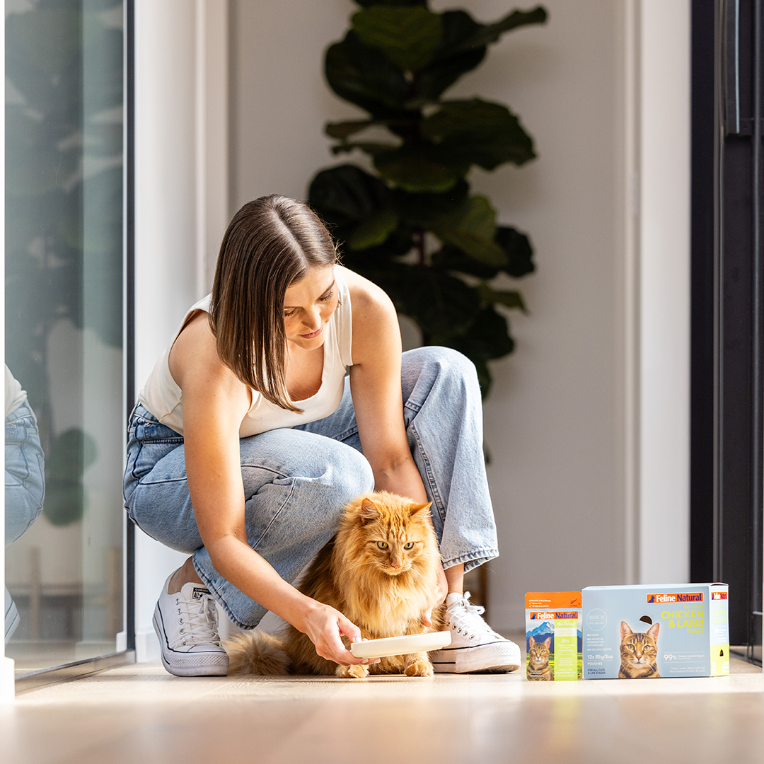 The Best Dog and Cat Food For Picky Eaters Feline Natural Australia