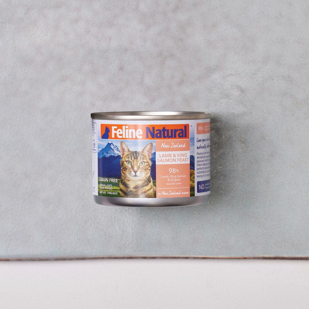 Can you feed clearance cats canned salmon